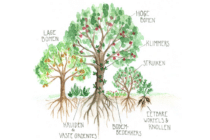 Groen Van Doen in werkgebied Mechelen
