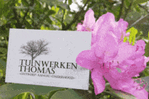 Tuinwerken Thomas in werkgebied Begijnendijk